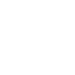 LG logo